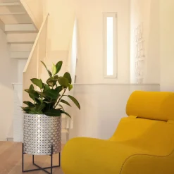 Nexum Optical 30 Gold Cachepot