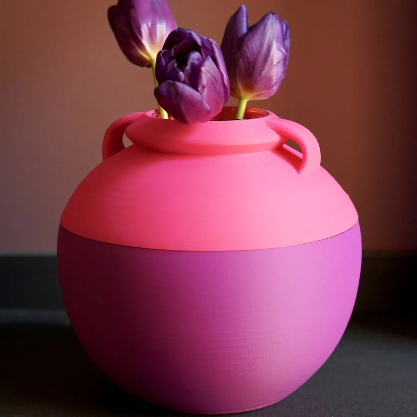 Numa Pompilio L Bicolor Purple And Pink Amphora