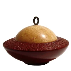 Obox Box in Muirapiranga and Maple