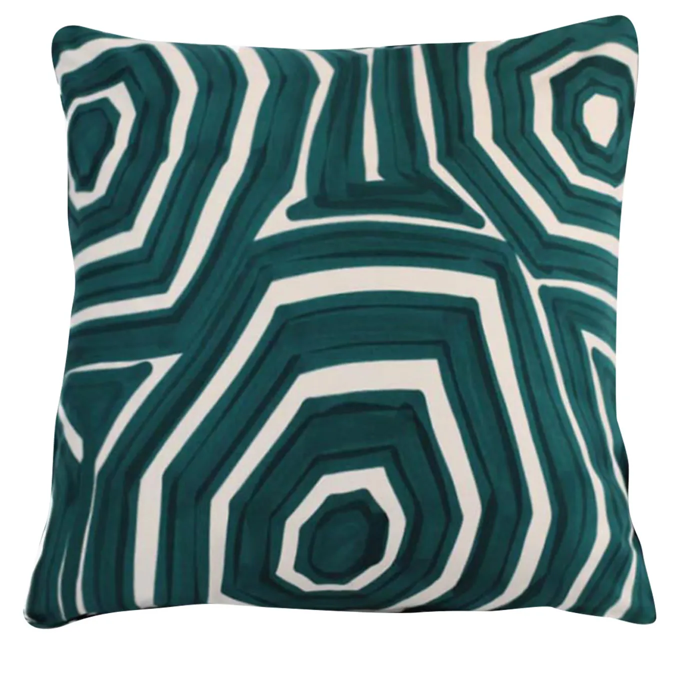 Ottago Turquoise Cushion