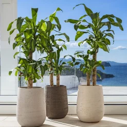 Panarea Brown Vase