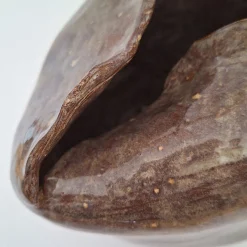 Petalo 2 Petal-Shaped Brown Ceramic Vase