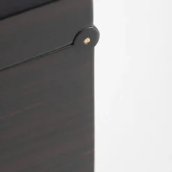 Premiere Dame Ebony Jewelry Box