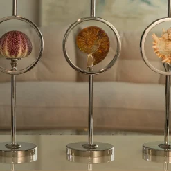 Sea Urchin Candlestick