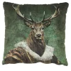 Set of 2 Anthropomorphic Deer Design Square Velvet Cushions