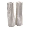 Set of 2 "Paesaggio 19 #1" White Decorative Vases by Nino Basso