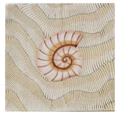 Set of 25 Thalassa Avana Shell #D Tiles