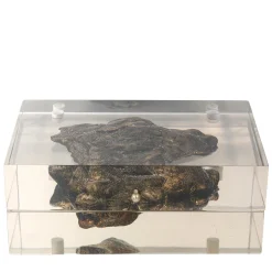 Sideroid Azimuth Box by Nikos Sideris and CTRLZAK