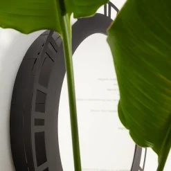 Solisumbra Black Wall Mirror