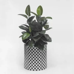 Splot4flowers Optical Black Cachepot