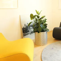 Splot4flowers Optical Gold Cachepot