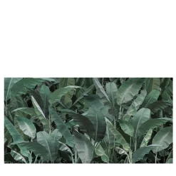 Thai Banano Wallpaper