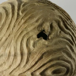 The Impossiballs Hollow Form Spherical Black Locust Sculpture