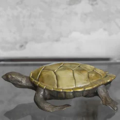 Turtle Brass Box