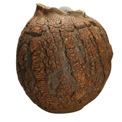 Tuscany Seed Pod Decorative Vase