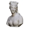 Venere Capitolina Bust