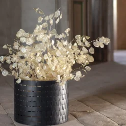 Vitis Black Abatellis Cachepot