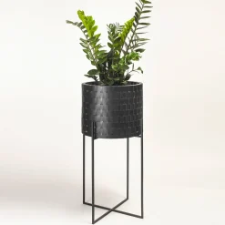 Vitis Nexum Medium Black Abatellis Cachepot