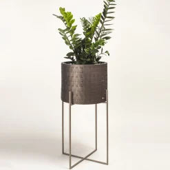 Vitis Nexum Medium Brown Medici Cachepot