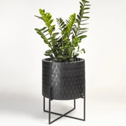 Vitis Nexum Small Black Abatellis Cachepot