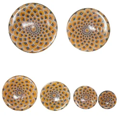 Yellow Peacock Feather Set of 6 Decorative Plates