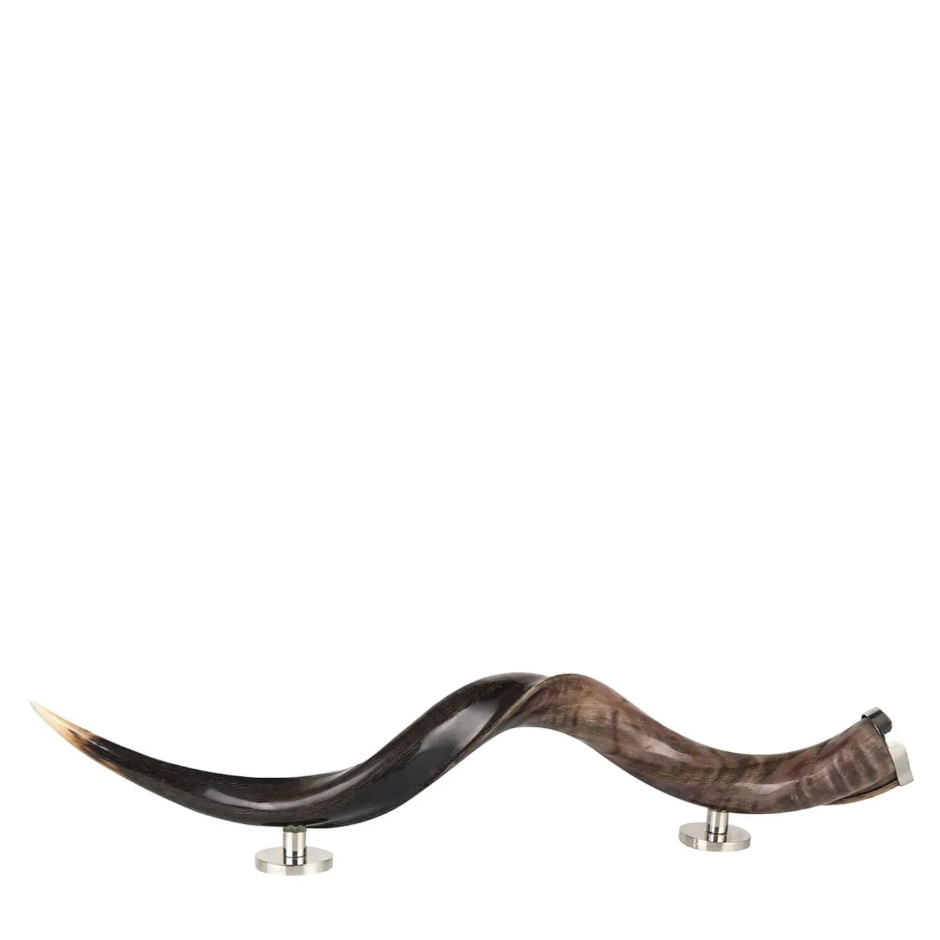 Zebu Horn Decorative Sculpture