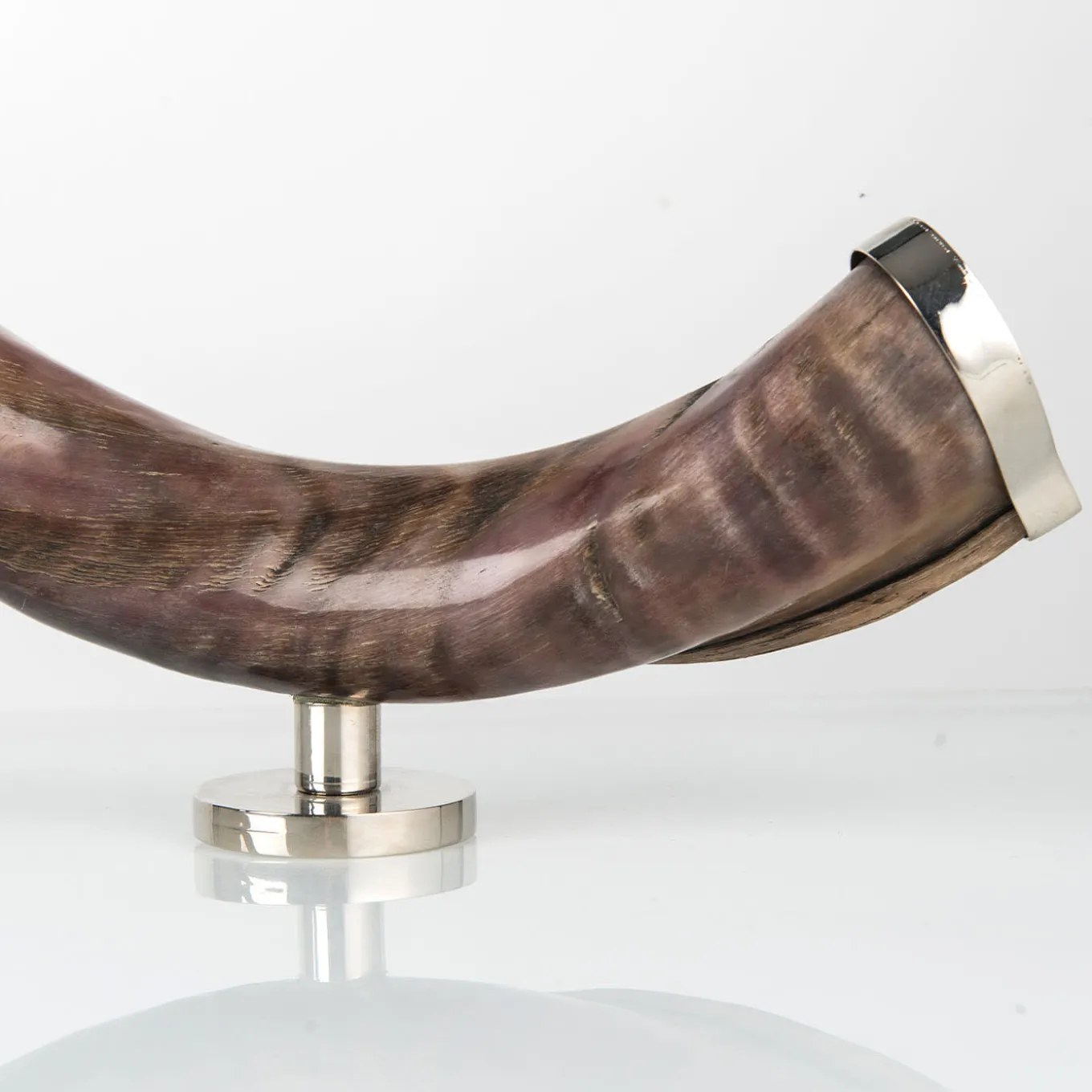 Zebu Horn Decorative Sculpture